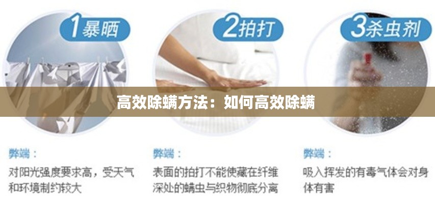 雍荣闲雅 第2页