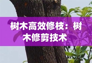 树木高效修枝：树木修剪技术 