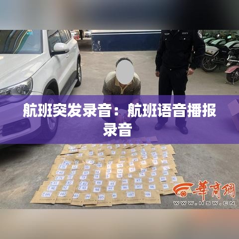 航班突发录音：航班语音播报录音 
