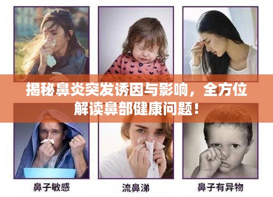 揭秘鼻炎突发诱因与影响，全方位解读鼻部健康问题！