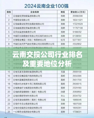 云南交投公司行业排名及重要地位分析