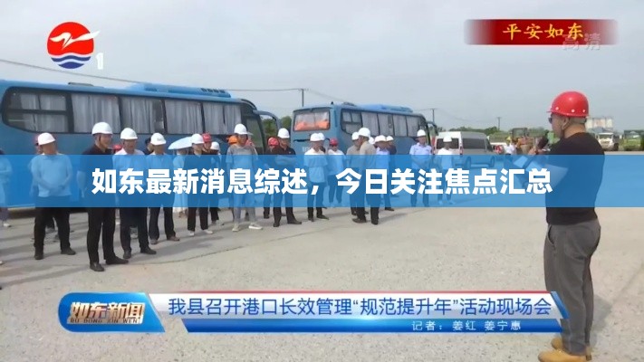 如东最新消息综述，今日关注焦点汇总