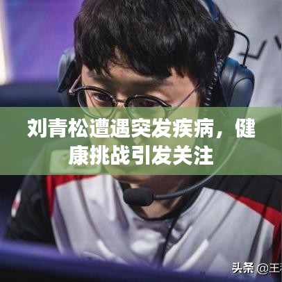 水浄鹅飞 第2页