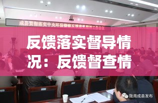 反馈落实督导情况：反馈督查情况 