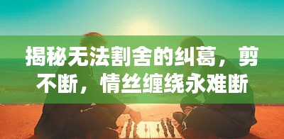 揭秘无法割舍的纠葛，剪不断，情丝缠绕永难断