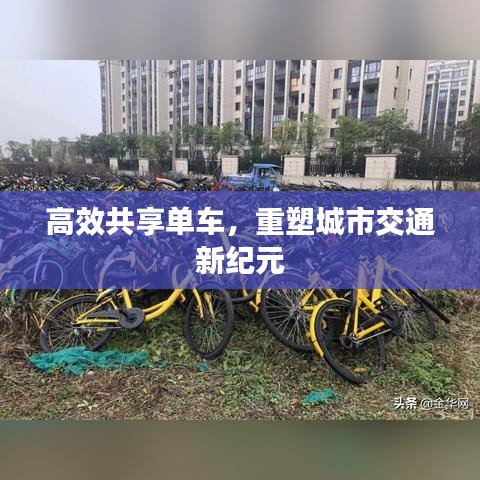 高效共享单车，重塑城市交通新纪元