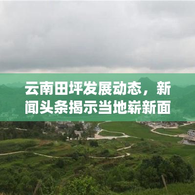 云南田坪发展动态，新闻头条揭示当地崭新面貌