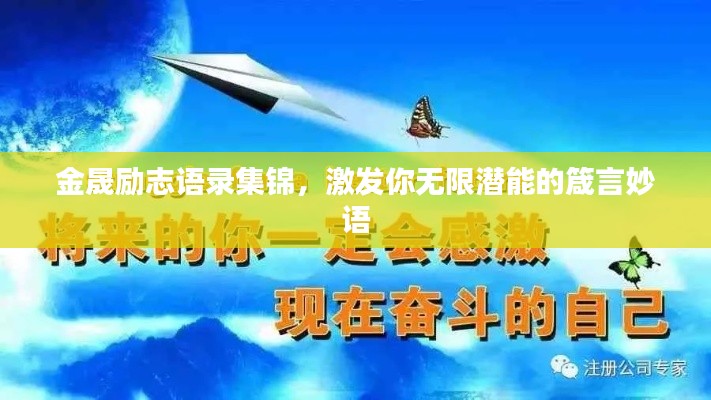 金晟励志语录集锦，激发你无限潜能的箴言妙语