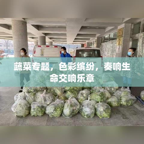 质而不俚 第2页