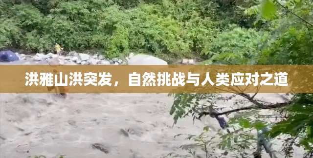按部就班 第2页