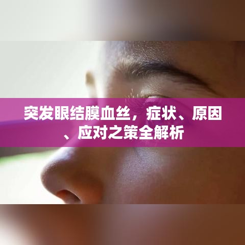 标新竖异 第2页