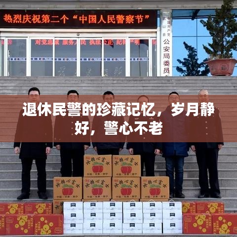 张皇铺饰 第2页