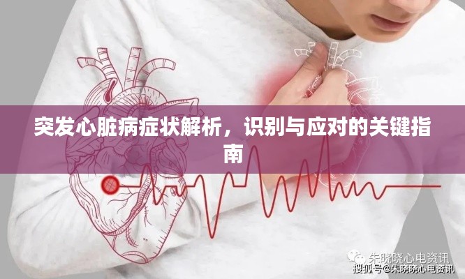 突发心脏病症状解析，识别与应对的关键指南
