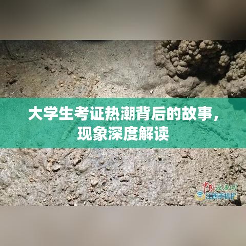 大学生考证热潮背后的故事，现象深度解读