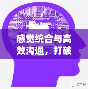 感觉统合与高效沟通，打破障碍，实现有效交流
