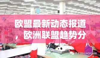 欧盟最新动态报道，欧洲联盟趋势分析与新闻头条速递
