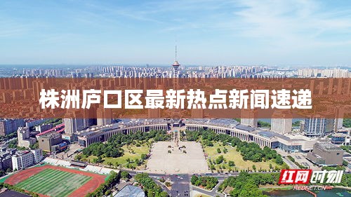 株洲庐口区最新热点新闻速递