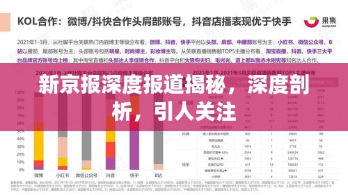 新京报深度报道揭秘，深度剖析，引人关注