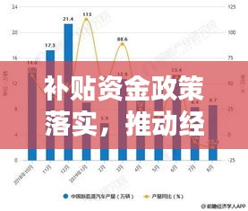 补贴资金政策落实，推动经济发展的强劲动力