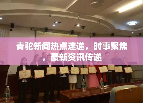 青驼新闻热点速递，时事聚焦，最新资讯传递
