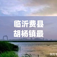 临沂费县胡杨镇最新新闻头条速递