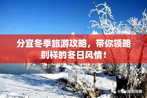 分宜冬季旅游攻略，带你领略别样的冬日风情！