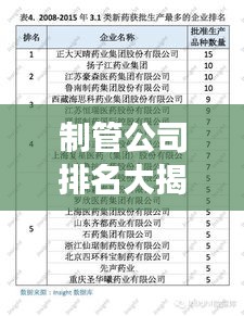 制管公司排名大揭秘，行业领军者的实力与力量展示