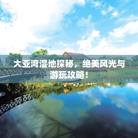 大亚湾湿地探秘，绝美风光与游玩攻略！