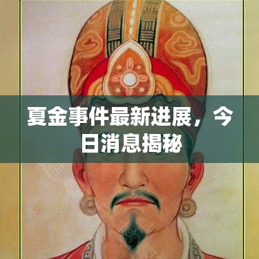 夏金事件最新进展，今日消息揭秘