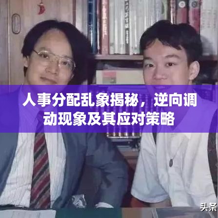 人事分配乱象揭秘，逆向调动现象及其应对策略
