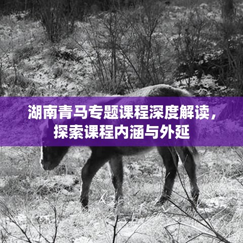 湖南青马专题课程深度解读，探索课程内涵与外延
