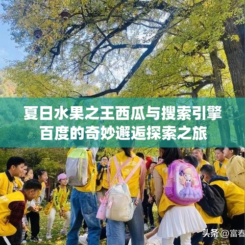 夏日水果之王西瓜与搜索引擎百度的奇妙邂逅探索之旅