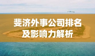 斐济外事公司排名及影响力解析
