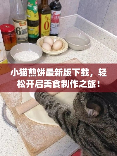小猫煎饼最新版下载，轻松开启美食制作之旅！