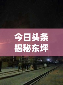 今日头条揭秘东坪最新动态，独家新闻报道速递