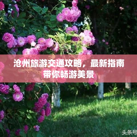 沧州旅游交通攻略，最新指南带你畅游美景