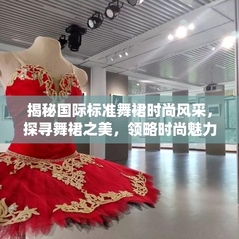揭秘国际标准舞裙时尚风采，探寻舞裙之美，领略时尚魅力！