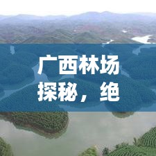 广西林场探秘，绝美风光与旅行攻略！