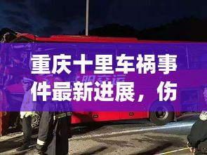 重庆十里车祸事件最新进展，伤亡情况、救援进展及事故原因调查全解析