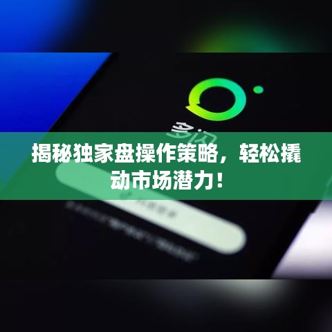揭秘独家盘操作策略，轻松撬动市场潜力！