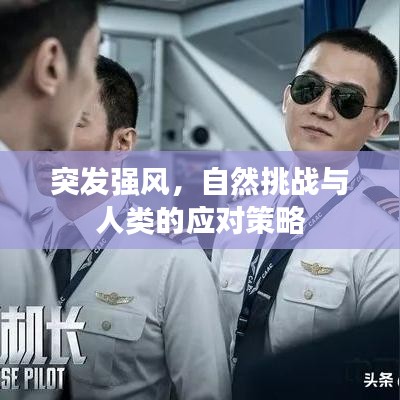 突发强风，自然挑战与人类的应对策略