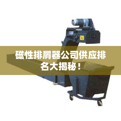 磁性排屑器公司供应排名大揭秘！