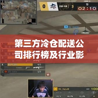 第三方冷仓配送公司排行榜及行业影响力解析