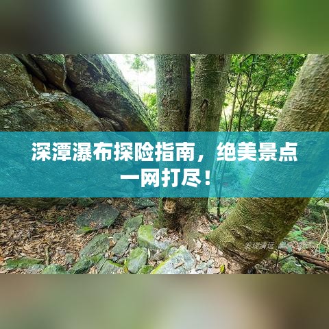 深潭瀑布探险指南，绝美景点一网打尽！