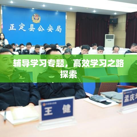 辅导学习专题，高效学习之路探索