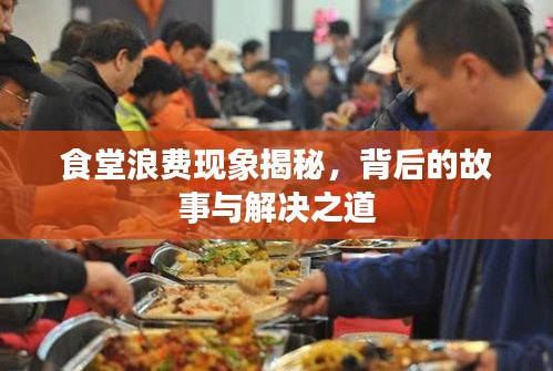 食堂浪费现象揭秘，背后的故事与解决之道