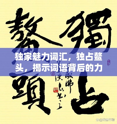 独家魅力词汇，独占鳌头，揭示词语背后的力量与独特魅力