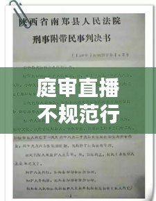 庭审直播不规范行为的审视与完善策略