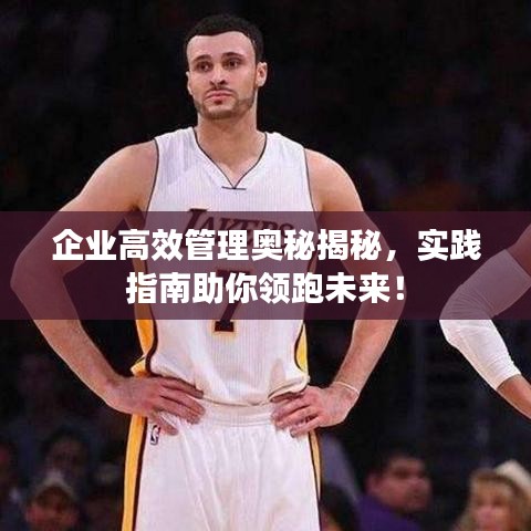 企业高效管理奥秘揭秘，实践指南助你领跑未来！