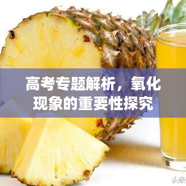 高考专题解析，氧化现象的重要性探究